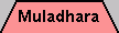 1er chakra